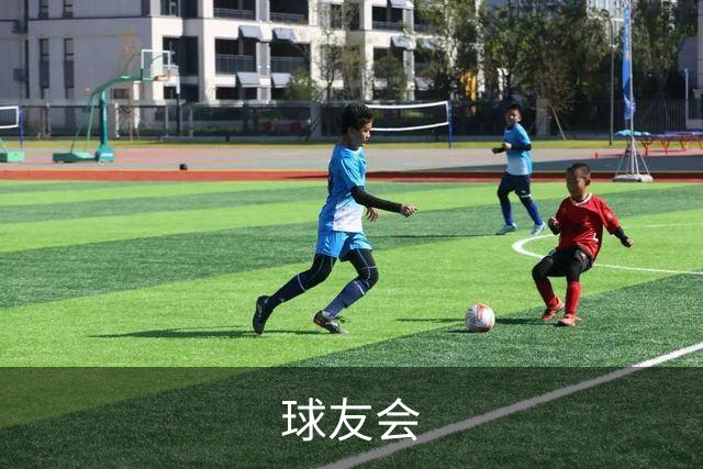 球友会公司简介